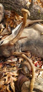 Resized_20211204_121756.jpeg Resized_20211204_121756.jpeg