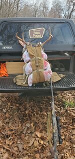 Resized_20211204_150730_286247632510281.jpeg Resized_20211204_150730_286247632510281.jpeg