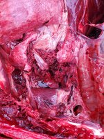 20211115_120537.jpg 20211115_120537.jpg