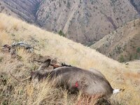 20211115_095059.jpg 20211115_095059.jpg