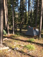 IMG_4561.jpg