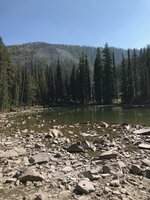 IMG_4547.jpg