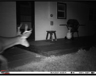 7EFA191B-BC22-4C36-9C31-52ED9A11A061.jpeg