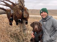 12-18 pheasant hunt.jpg