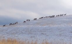 IMG_20211220_101122461.jpg
