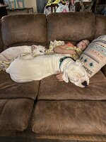 587676E8-27FB-4F18-B63B-B2D7C0F6C413.jpeg