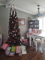 IMG_20211224_093333869.jpg