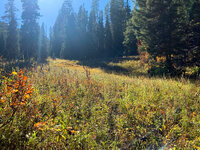 2021-10-02-099_.jpg