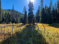 2021-10-02-100_.jpg
