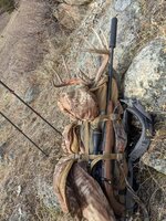 PXL_20211127_172223542.jpg PXL_20211127_172223542.jpg