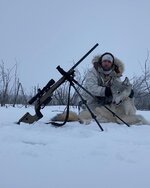 wolf.jpg