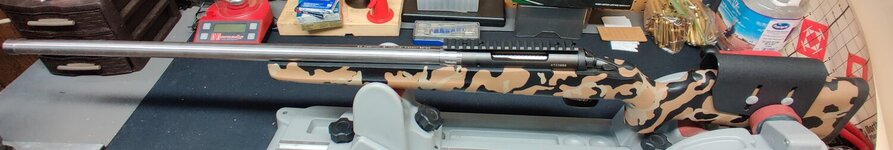 IMG_20211014_174626__01.jpg