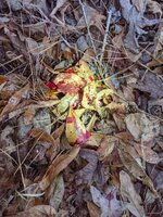 PXL_20211228_141436740.jpg