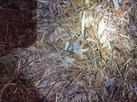 PXL_20211228_005944325.jpg