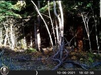 IMG_20211111_125747~2.jpg