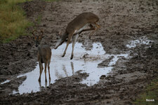 12-IMG_187123.JPG