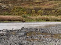 IMG_3115 (1).JPG