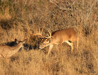 17-IMG_650615.JPG