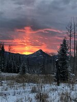 170FE58F-468D-49E7-B7ED-D62F7C2F1525.jpeg