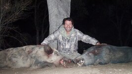 Garys hogs.jpg Garys hogs.jpg
