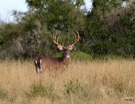 09-IMG_407112.jpg