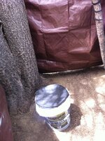IMG_1226.JPG