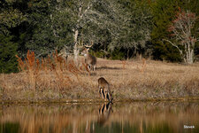 1-IMG_6105-22.jpg
