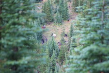 IMG_3055.JPG