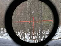 ABC1118F-9A6F-4970-8B82-51FC3D04F58C.jpeg ABC1118F-9A6F-4970-8B82-51FC3D04F58C.jpeg