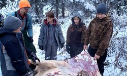 IMG_7284.JPG IMG_7284.JPG