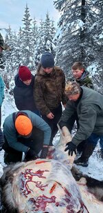 Resized_20211111_142921.JPEG Resized_20211111_142921.JPEG