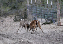 12-IMG_1776-21.jpg