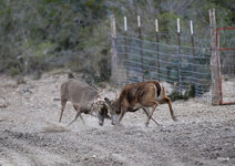 13-IMG_1781-21.jpg