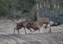 16-IMG_1837-21.jpg