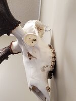 20220112_090039.jpg