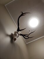 20220112_090107.jpg
