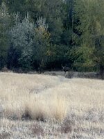 29524440-4F00-45E1-8E23-FA56E45A2678.jpeg