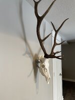 15A172ED-B3C2-4AC2-B996-4CA6D61601D2.jpeg