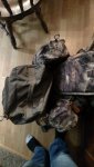 IMG_20170808_205813253.jpg