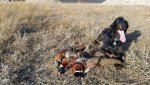 Birthday Hunt.jpg