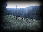 IMG_0380.jpg