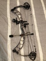 Bow left.jpg