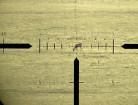 565B975B-A9AA-4A39-ACE8-90DC0833C285.jpeg