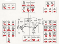 diagram-of-cuts-of-beef-on-cow.png