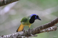05-IMG_762815.JPG