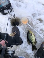 0974F495-F4B3-413B-B0D5-AEA25FAD93D8.jpeg