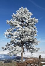20220118_074545.jpg