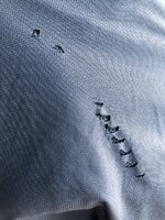 IMG_6470.JPG