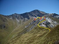 nz chamois – Kopi.jpg