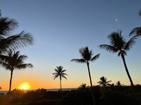 IMG_5245.jpg
